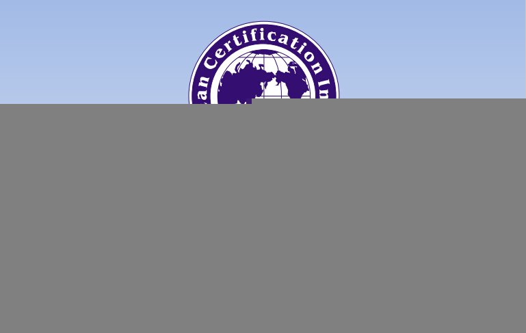 具有签字权利的国际会计师AAIA