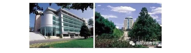 出国留学(韩、泰、美、日)